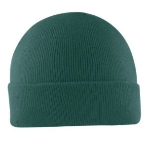 U22902SAGE - Viscose Cuffed Beanie - Sage