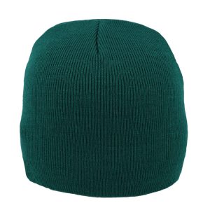RWC2BOTTLE - SA Cuffed Beanie - Bottle green